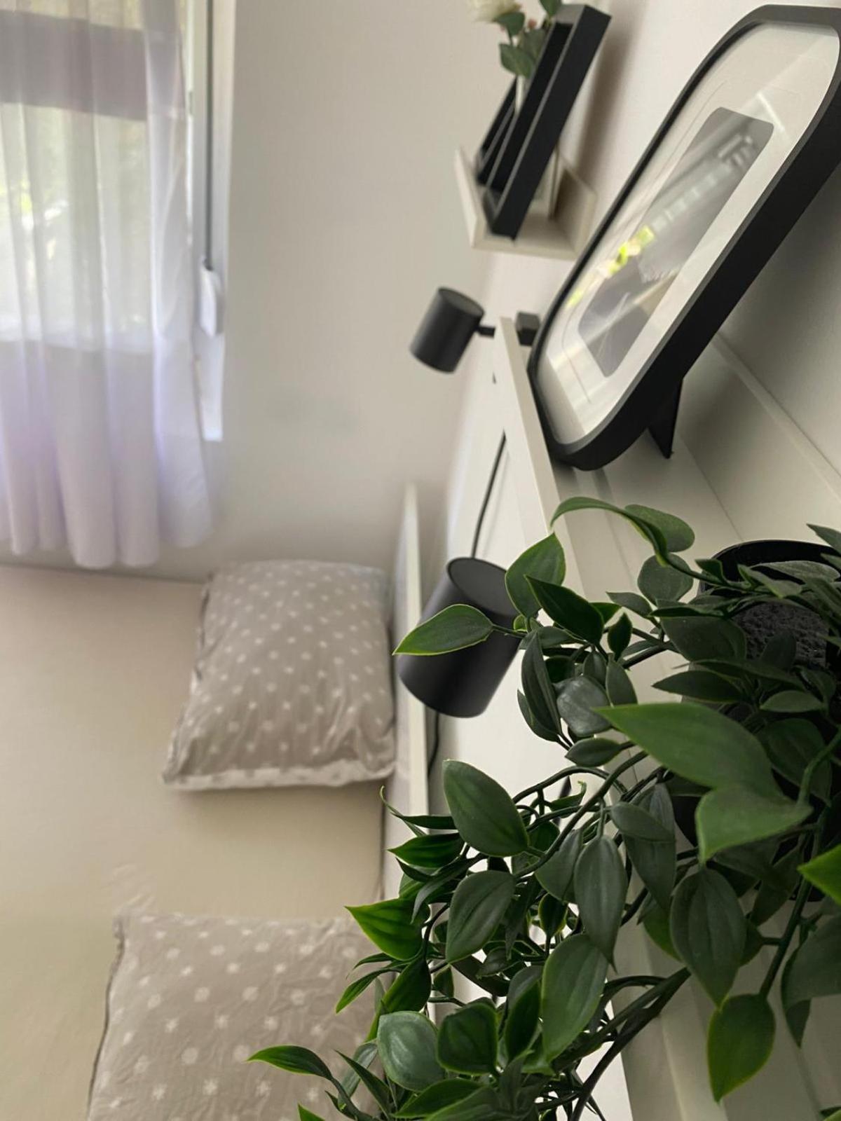 Urban Oasis Apartment Sajmiste المظهر الخارجي الصورة